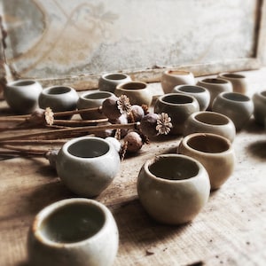 Może przedstawiać: Kolekcja małych, okrągłych ceramicznych doniczek w różnych odcieniach beżu i szarości, ułożonych na drewnianej powierzchni. Suche strąki nasion i łodygi są rozrzucone wśród doniczek. Doniczki mają rustykalny, ręcznie robiony wygląd.