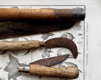Ensemble d'outils de jardinage anciens, français, de 3. Couteaux de jardin rustiques avec manche en bois. Couteaux d'élagage/greffon de Vigneron. Collection d'outils anciens.