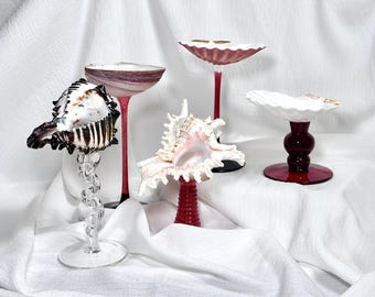 Seashell Chalice Cup - Real Scallop Shell Ring Dish for Beach Altar Decor, Gothic Ocean Wedding Goblet, Graduation Gift 2026