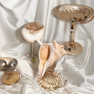 Peut inclure: Plusieurs pièces décoratives en coquillages et en verre. L'image présente un grand coquillage, une coquille de nautile et un petit coquillage sur un support en verre. Un plat en verre contient des bijoux.