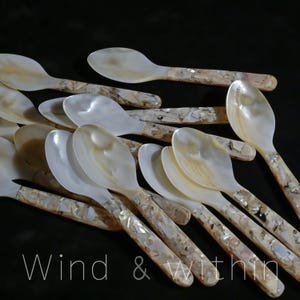May include: A collection of mother-of-pearl spoons with mosaic handles. The spoons have a pearlescent white bowl and a mosaic handle with shades of beige, brown, and white. The text "Wind & Within" is at the bottom.