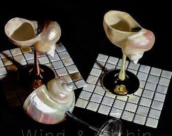 Seashell Wine Glasses| Birthday Bachelorette Party| Jewelry Display Stand| Martini Glasses Artwork| Wedding Gift | Graduation Gift 2026