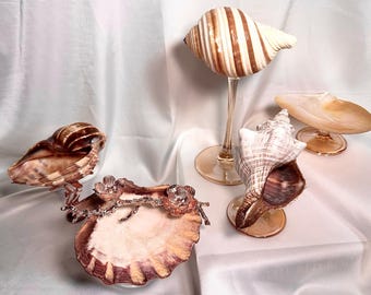 Unique Seashell Wine Glass, Beach Wedding Gift for Bride, Iridescent Shell Martini Goblet, Altar Decor Ritual Cup, Graduation Gift 2026