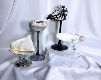 Unique Seashell Chalice, Witchy Altar Decor, Real Shell Jewelry Dish for Rings, Goth Beach Wedding Goblet, Ritual Gift, Graduation Gift 2026