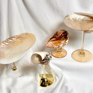 May include: Four decorative seashell displays. The shells are various shapes and sizes, with natural colours of cream, brown, and gold. Each shell is mounted on a clear or gold-toned stem and base, creating a unique presentation.