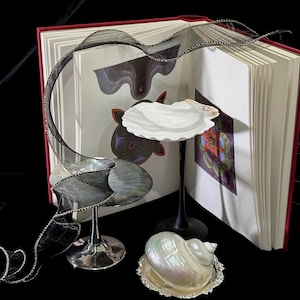 Puede incluir: Un libro abierto con tapas rojas muestra conchas decorativas sobre soportes y una concha grande en la base. Una cinta negra y plateada se arquea sobre las páginas. El fondo es negro.