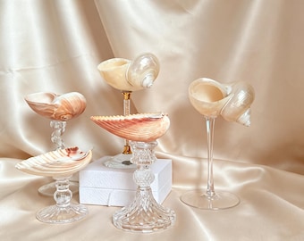 Shell Goblet Collection | Set of 6 Coastal Cups | Beach House Decor Set | Mermaid Core Glassware | Nautical Dining Set | Seashell Gift Set