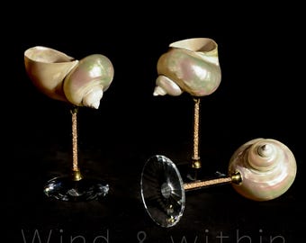 Seashell Wine Glasses| Birthday Bachelorette Party| Jewelry Display Stand| Martini Glasses Artwork| Wedding Gift| Graduation Gift 2026