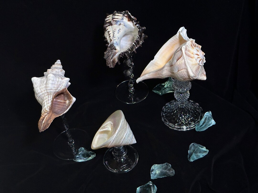 Seashell Wine Glass Set, Natural Conch Chalice, Coastal Housewarming ...