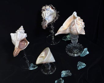 Seashell Wine Glass Set, Natural Conch Chalice, Coastal Housewarming Gift, Ocean Themed Party Drinkware, Unique Sea Shell Art Glassware