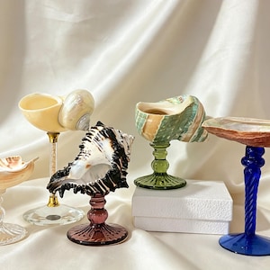May include: Five decorative seashell goblets featuring various natural shells mounted on colored glass stems. The collection includes clear, gold-accented, purple, green, and blue glass bases supporting diverse shell shapes and textures.