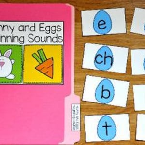 May include: A pink file folder labeled "Bunny and Eggs Beginning Sounds" with a cartoon bunny and carrot illustration. Beside the folder are white cards with blue egg shapes, each containing a letter or digraph.