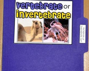 Jogo de Classificação para Aprendizagem Inicial: Vertebrados e Invertebrados (Pasta de Arquivo, Imprimível)