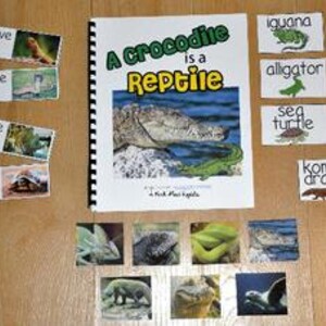 May include: Educational display featuring a book titled "A Crocodile is a Reptile" with images of reptiles. Includes flashcards with reptile facts and pictures of various reptiles like iguanas and alligators. The display is on a wooden surface.