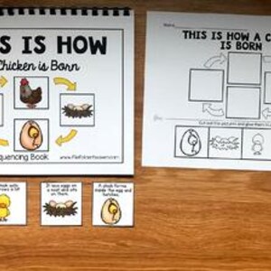 May include: A life cycle sequencing book and matching worksheet titled "This Is How A Chicken Is Born." The book and worksheet show the life cycle of a chicken, with illustrations of a chick, egg, nest, and hen. The book and worksheet are on a wooden surface.