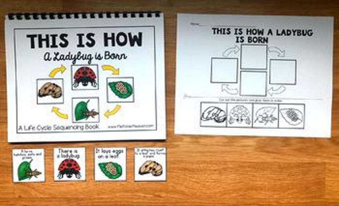 Ladybug Life Cycle Activities: Sequencing and Science Fun (hands-on Kit ...