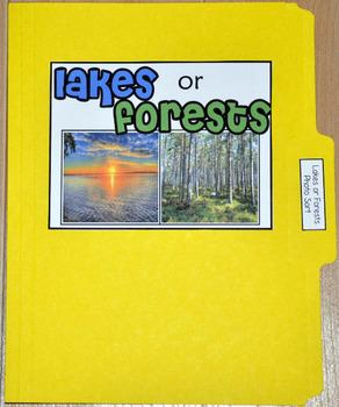 File Folder Sorting Game: Lakes and Forests - Early Learning Tool - Etsy