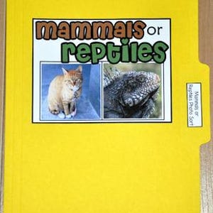 May include: A yellow file folder with the words "mammals or reptiles" in a rectangular box. The box contains a photo of a cat and a lizard. The tab on the right says "Mammals or Reptiles Photo Sort."