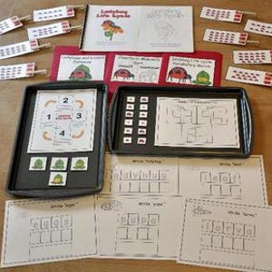 Puede incluir: Conjunto educativo con el tema del ciclo de vida de la mariquita. Incluye un libro, tarjetas y hojas de trabajo. El conjunto presenta colores rojo, verde y blanco. Las hojas de trabajo tienen secciones para completar. El conjunto está diseñado para fines educativos.