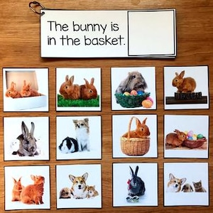 Puede incluir: Un conjunto de doce tarjetas cuadradas con imágenes de conejos y otros animales, junto con una tarjeta que dice "The bunny is in the basket." Las tarjetas están dispuestas en una cuadrícula sobre una superficie de madera.