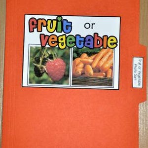May include: An orange file folder with a white rectangle containing the words "Fruit or Vegetable" in colorful text. Below are images of a raspberry and carrots. A smaller label on the right reads "Fruit or Vegetable Photo Sort."