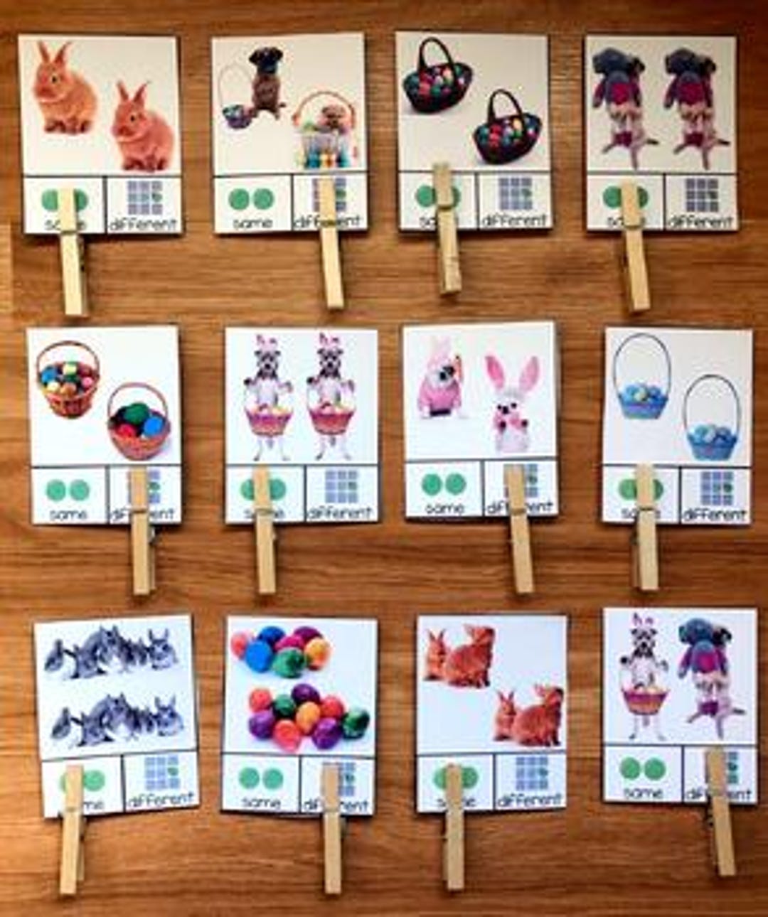 Easter Same or Different Task Cards - Real Photos, Hands-on - Etsy