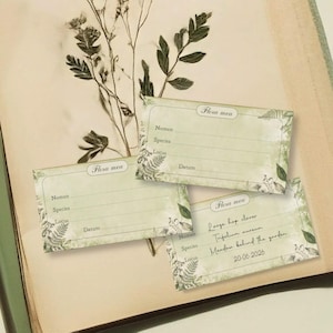 Herbarium Labels Printable | Vintage Botanical Card Set – 3 Options | Scientific Plant Specimen Collection Tag Sheet File Digital Download