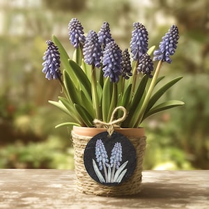 Peut inclure: Un pot de fleurs de jacinthes à grappes violettes avec des feuilles vertes. Le pot en terre cuite est enveloppé de ficelle et porte une étiquette noire avec un motif floral peint. L'arrière-plan est flou.