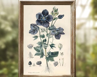 Indigo Flower Botanical Illustration | Dark Blue Vintage Flower Art Print | Digital Floral Artwork Download | Printable Plant Drawing
