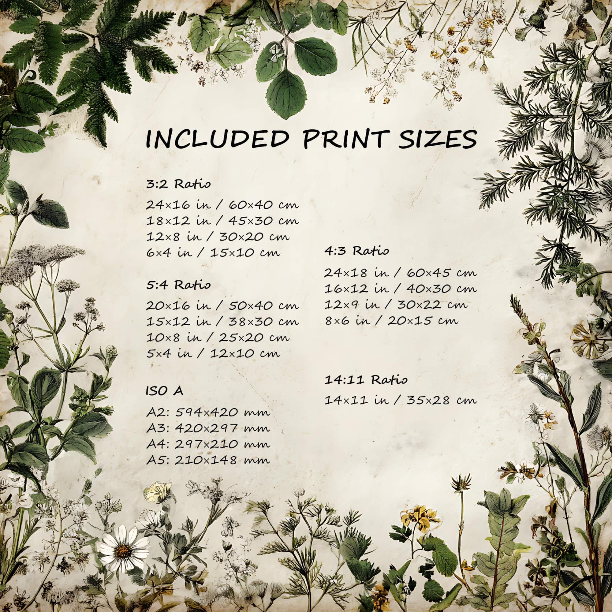 Vintage Compost Art Print | Composting-themed Kitchen Wall Decor ...