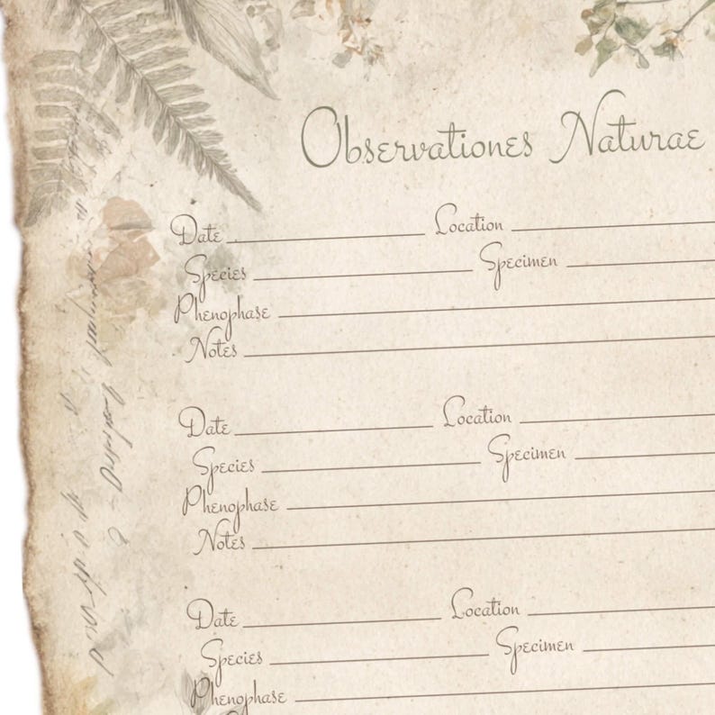 Field Notebook Examples Botany Plant Phenology Record Datasheet | Printable Nature Observation Journal ...