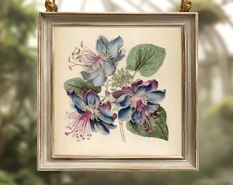 Illustration botanique de fleur imaginaire | impression d'art floral bleu vintage | Téléchargement numérique d'art mural floral | Dessin végétal fantastique violet