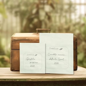 May include: Two rectangular off-white paper seed packets with rounded corners. The smaller packet reads Semina, Digitalis purpurea, 2026. The larger packet reads Semina, Cucurbita maxima, Atlantic Giant, 2026. Both feature a small leaf icon.