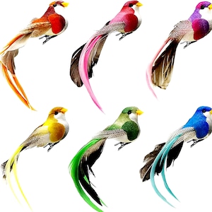 May include: Six decorative artificial birds in various colors. Each bird has a yellow beak, a mix of feathers, and long, flowing tail feathers. Colors include orange, pink, purple, yellow, green, and blue. These birds are likely for crafting or home decor.