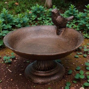 May include: A bronze-effect bird bath featuring a small bird sculpture on the rim. The bird bath has a wide, shallow bowl and a decorative pedestal base. It is set outdoors, surrounded by green plants and brown soil.
