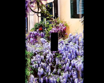 Single Switchplate Cover - Wisteria Climbing the Wall