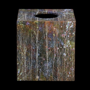 May include: A square tissue box cover with a photographic print of a forest scene. The image features a variety of trees with white bark and a background of green, brown, and purple hues.