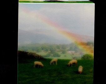 Tissue Box Cover Rainbow and Sheep in Lake District of England