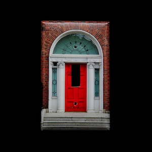Single Switchplate Cover - Red Door in Dublin