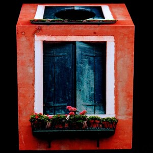 May include: A red tissue box cover with a blue window and a white frame. The window has a flower box with pink flowers and green leaves.