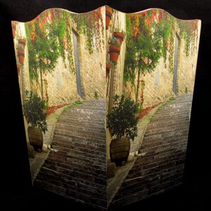 Wastebasket Steps & Red Ivy in Assisi, Italy image 2