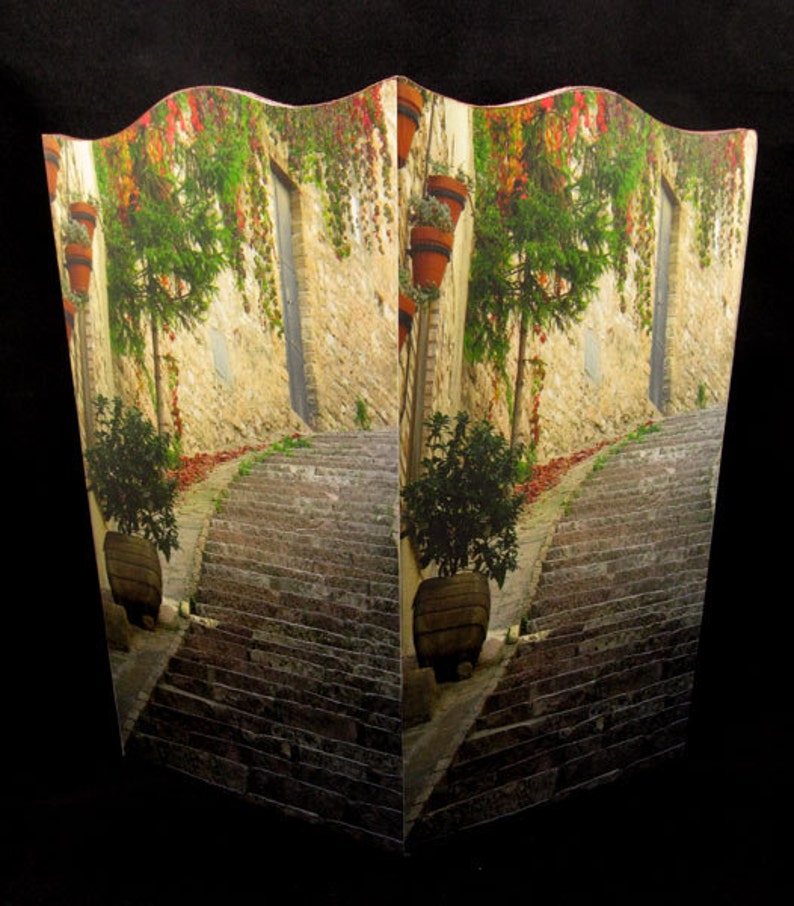 Wastebasket Steps & Red Ivy in Assisi, Italy image 2