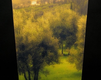 Wastebasket - Tuscan Olive Grove