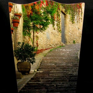 Wastebasket Steps & Red Ivy in Assisi, Italy image 1