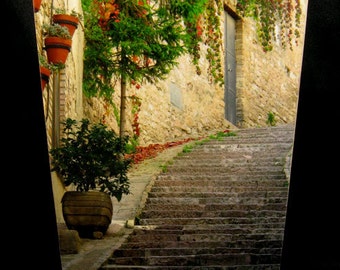 Wastebasket - Steps & Red Ivy in Assisi, Italy