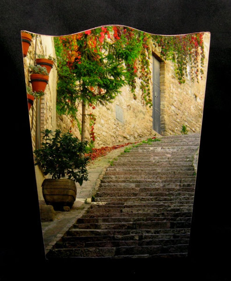 Wastebasket Steps & Red Ivy in Assisi, Italy image 1