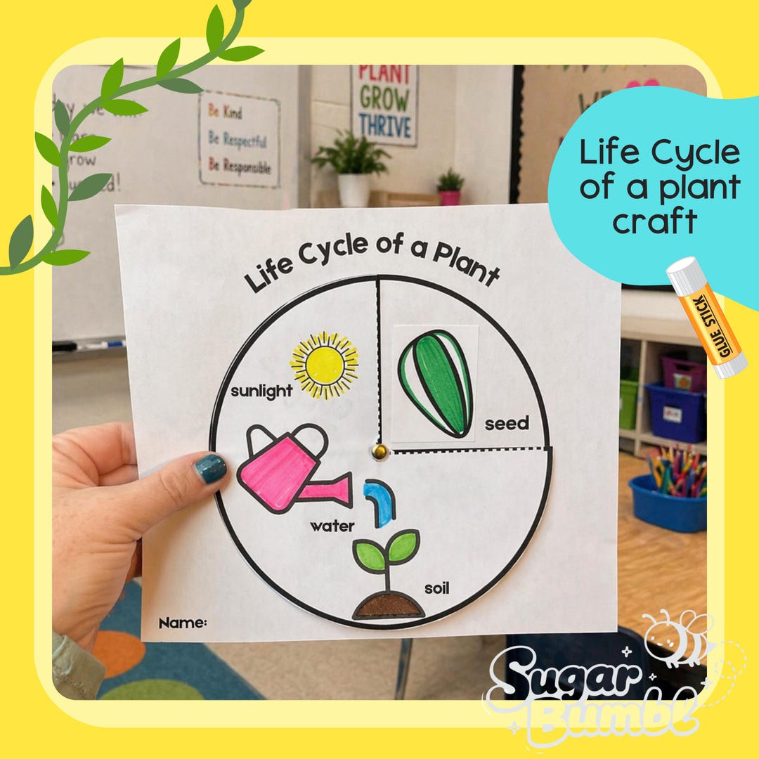Life Cycle of a Plant Craft Printable | Plant Spinner Activity | Spring ...
