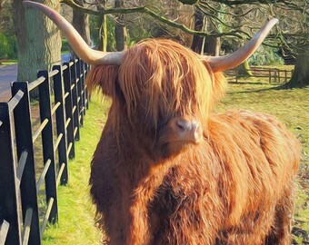 May include: A Highland cow with long, shaggy, reddish-brown fur stands near a black wooden fence. The cow has large horns and is in a grassy field with trees in the background. The image is taken in natural sunlight.
