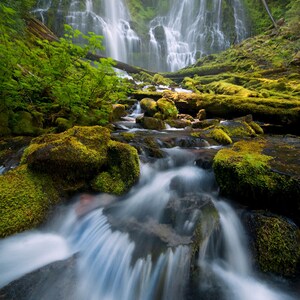 Può includere: Una cascata panoramica scende da una parete rocciosa, circondata da una rigogliosa vegetazione verde. L'acqua scorre su rocce coperte di muschio, creando un paesaggio sereno. L'immagine cattura la bellezza della natura.