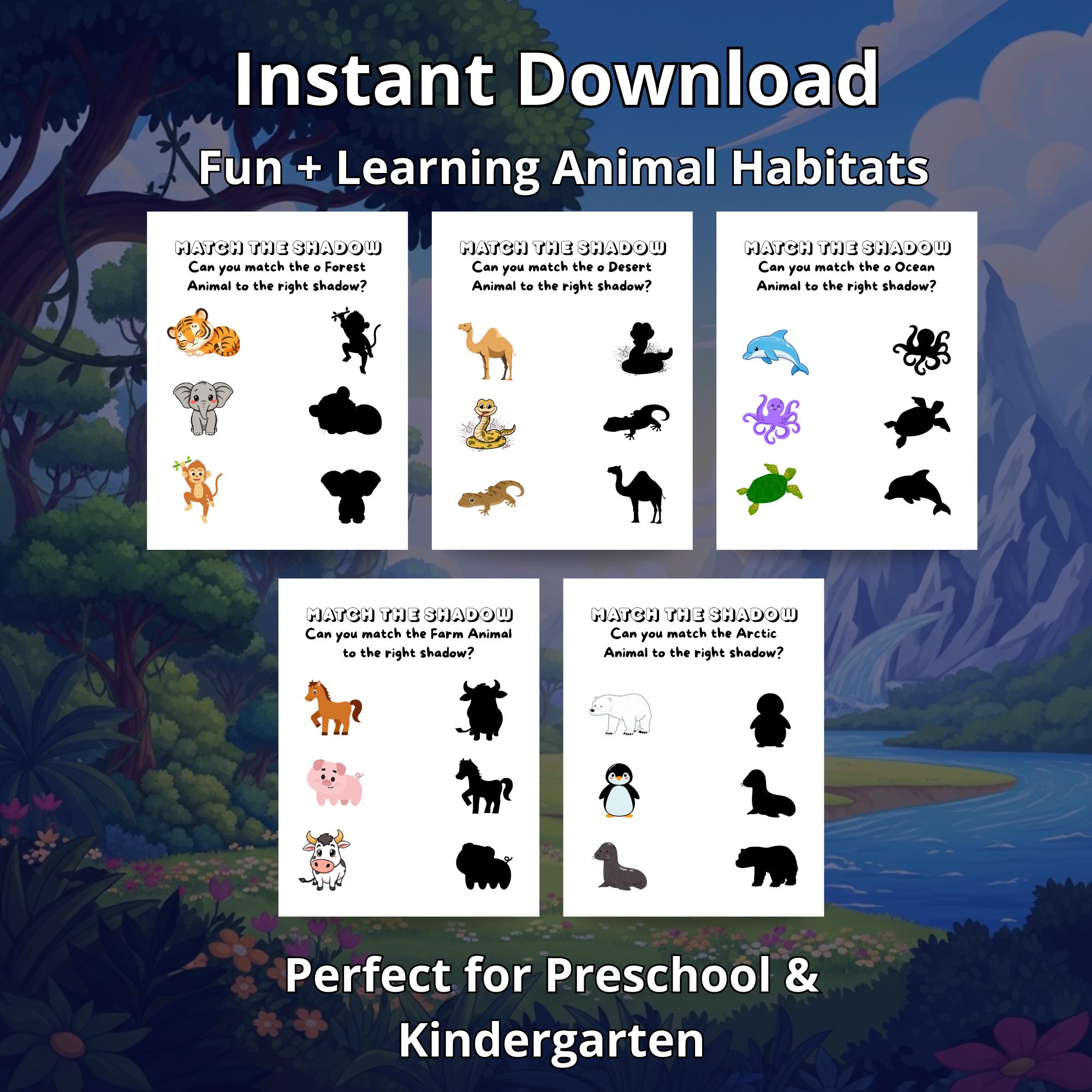 Animal Habitats Coloring Pages for Kids | Preschool Science Coloring ...